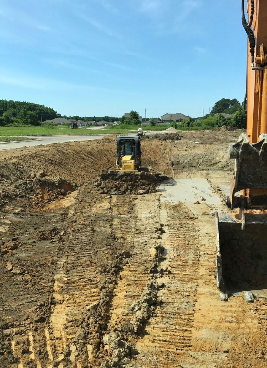Clearing trees and removing stumps to prepare a lot for residential development